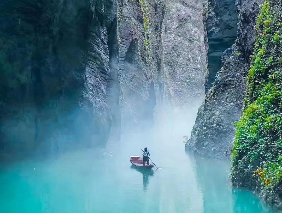 埃利的时装周